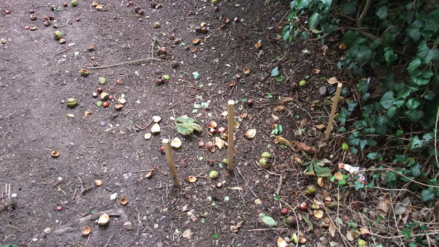 dscf7360.jpg